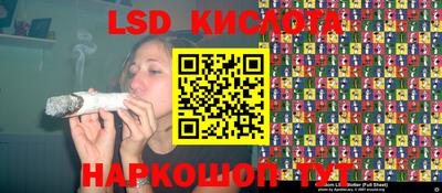 стафф Дубна