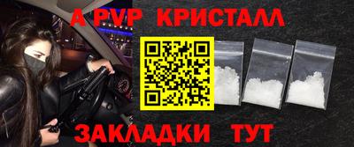 стафф Дубна