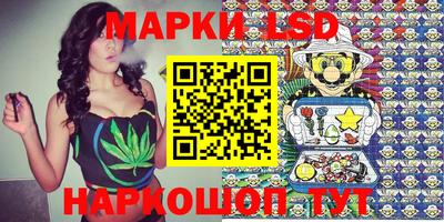 стафф Дубна